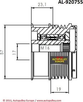 AINDE AL920755 - Шкив генератора, муфта autosila-amz.com