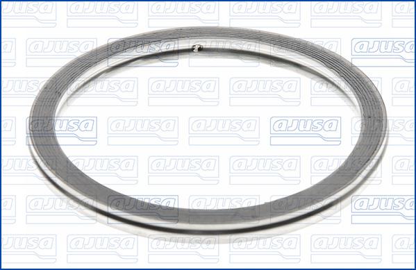 Ajusa 19002500 - Уплотнительное кольцо, труба выхлопного газа autosila-amz.com