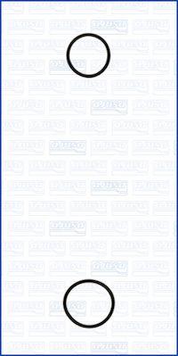 Ajusa 77001900 - Комплект прокладок, водяной насоc autosila-amz.com