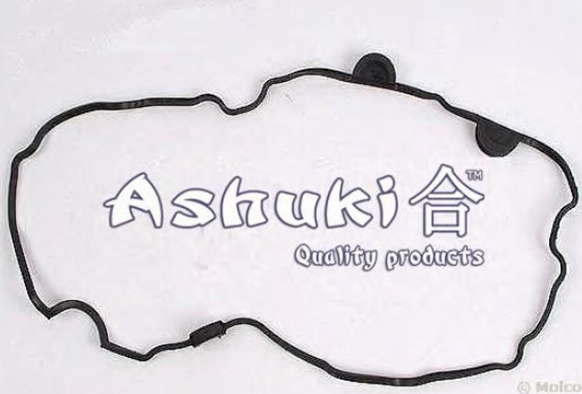 Ashuki 0366-8502 - Прокладка, крышка головки цилиндра autosila-amz.com
