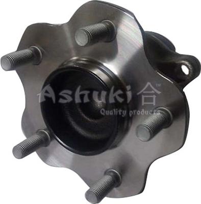 Ashuki 1413-9501 - Комплект подшипника ступицы колеса autosila-amz.com