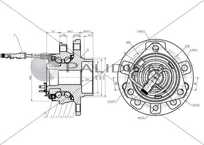 Ashuki PAL6-2046 - Комплект подшипника ступицы колеса autosila-amz.com