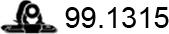 ASSO 99.1315 - Кронштейн, втулка, система выпуска ОГ autosila-amz.com