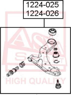 ASVA 1224-025 - Рычаг подвески колеса autosila-amz.com