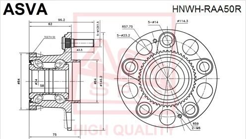 ASVA HNWH-RAA50R - Ступица колеса, поворотный кулак autosila-amz.com