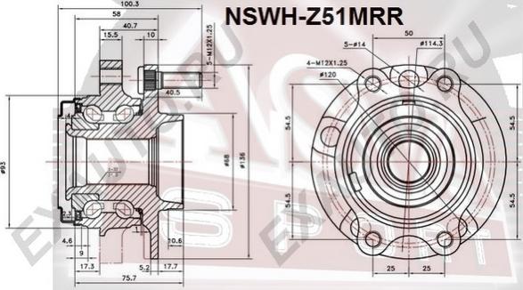 ASVA NSWH-Z51MRR - Ступица колеса, поворотный кулак autosila-amz.com