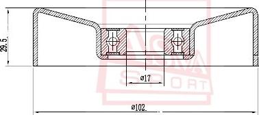 ASVA TYBP-030 - Ролик натяжителя, клиновой ремень autosila-amz.com