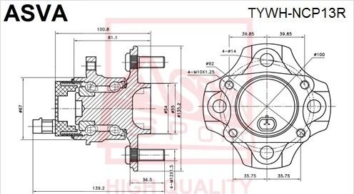 ASVA TYWH-NCP13R - Ступица колеса, поворотный кулак autosila-amz.com