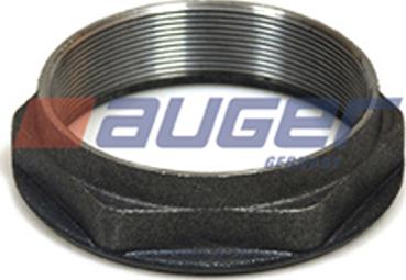 Auger 55765 - Гайка, шейка оси autosila-amz.com