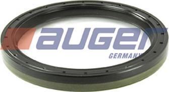 Auger 69198 - Уплотняющее кольцо, сальник, ступица колеса autosila-amz.com