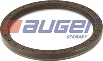 Auger 69175 - Уплотняющее кольцо, сальник, ступица колеса autosila-amz.com
