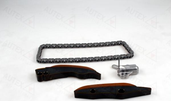 Autex 711363 - Комплект цепи привода распредвала autosila-amz.com
