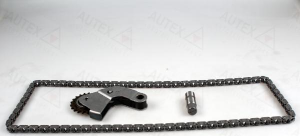 Autex 711312 - Комплект цепи привода распредвала autosila-amz.com