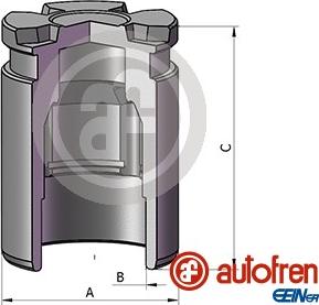 AUTOFREN SEINSA D025542 - Поршень, корпус скобы тормоза autosila-amz.com