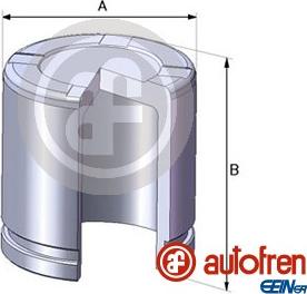 AUTOFREN SEINSA D02550 - Поршень, корпус скобы тормоза autosila-amz.com