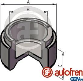 AUTOFREN SEINSA D025519 - Поршень, корпус скобы тормоза autosila-amz.com