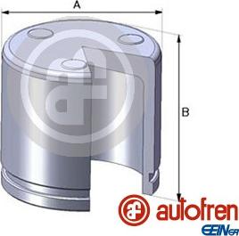 AUTOFREN SEINSA D02551 - Поршень, корпус скобы тормоза autosila-amz.com