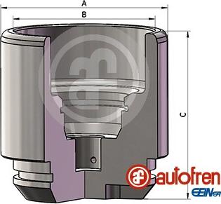 AUTOFREN SEINSA D025691 - Поршень, корпус скобы тормоза autosila-amz.com