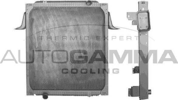 Autogamma 404548 - Радиатор, охлаждение двигателя autosila-amz.com