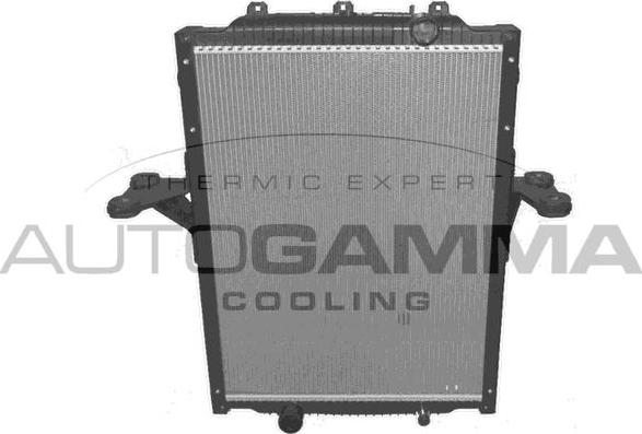 Autogamma 404560 - Радиатор, охлаждение двигателя autosila-amz.com