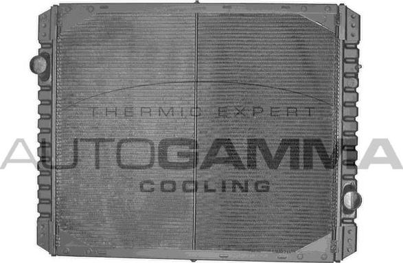 Autogamma 400470 - Радиатор, охлаждение двигателя autosila-amz.com