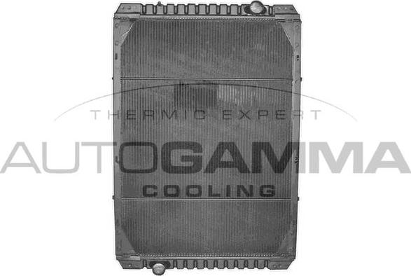 Autogamma 400472 - Радиатор, охлаждение двигателя autosila-amz.com