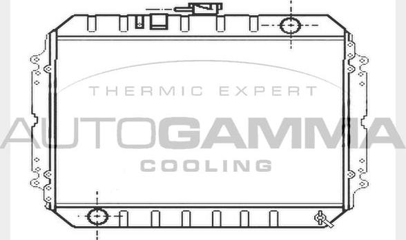 Autogamma 104696 - Радиатор, охлаждение двигателя autosila-amz.com