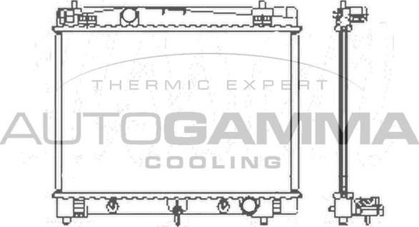 Autogamma 104623 - Радиатор, охлаждение двигателя autosila-amz.com