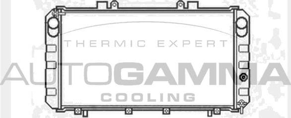 Autogamma 104022 - Радиатор, охлаждение двигателя autosila-amz.com