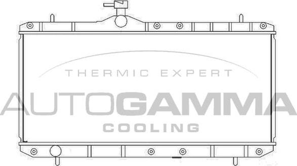 Autogamma 104106 - Радиатор, охлаждение двигателя autosila-amz.com