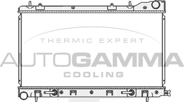 Autogamma 104706 - Радиатор, охлаждение двигателя autosila-amz.com