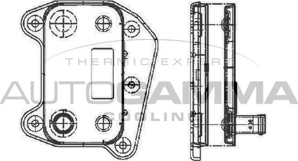 Autogamma 104789 - Масляный радиатор, двигательное масло autosila-amz.com