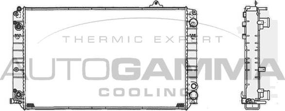 Autogamma 105124 - Радиатор, охлаждение двигателя autosila-amz.com