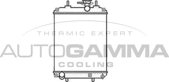 Autogamma 105790 - Радиатор, охлаждение двигателя autosila-amz.com