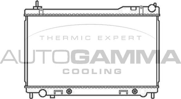 Autogamma 105760 - Радиатор, охлаждение двигателя autosila-amz.com