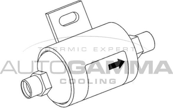 Autogamma 106029 - Осушитель, кондиционер autosila-amz.com