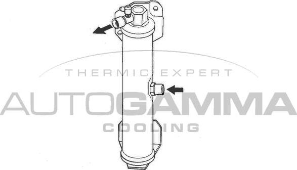 Autogamma 106209 - Осушитель, кондиционер autosila-amz.com