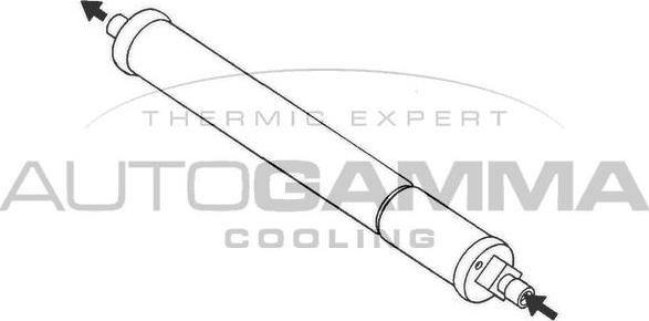 Autogamma 106222 - Осушитель, кондиционер autosila-amz.com