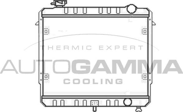 Autogamma 100442 - Радиатор, охлаждение двигателя autosila-amz.com