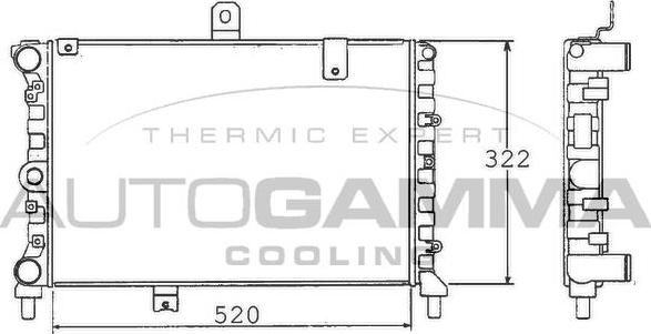 Autogamma 100452 - Радиатор, охлаждение двигателя autosila-amz.com