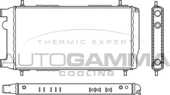 Autogamma 100073 - Радиатор, охлаждение двигателя autosila-amz.com