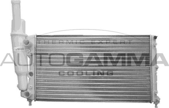 Autogamma 100294 - Радиатор, охлаждение двигателя autosila-amz.com