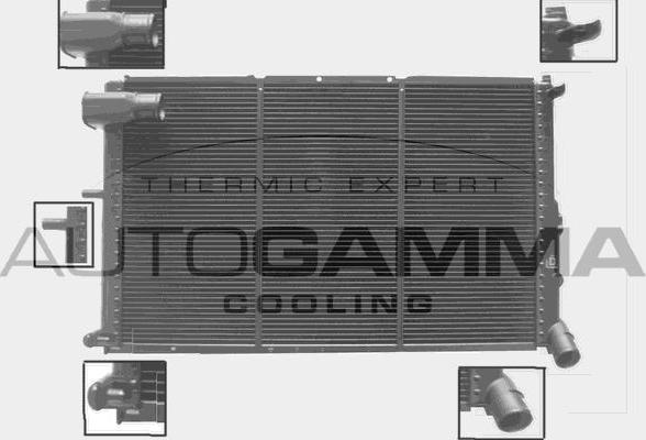 Autogamma 100222 - Радиатор, охлаждение двигателя autosila-amz.com