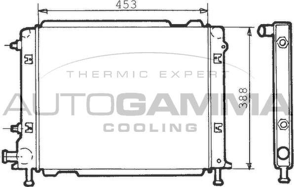Autogamma 100273 - Радиатор, охлаждение двигателя autosila-amz.com
