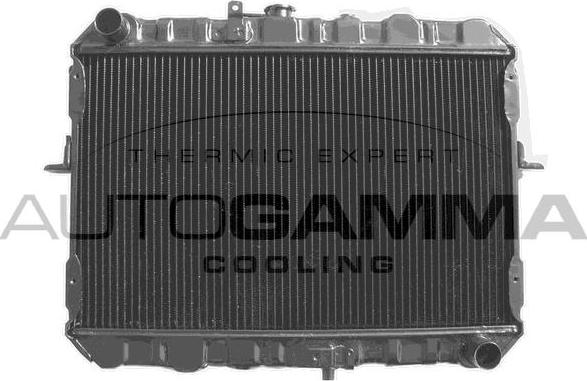 Autogamma 101999 - Радиатор, охлаждение двигателя autosila-amz.com