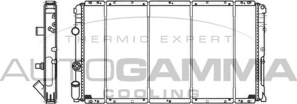 Autogamma 101461 - Радиатор, охлаждение двигателя autosila-amz.com