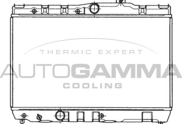Autogamma 101002 - Радиатор, охлаждение двигателя autosila-amz.com