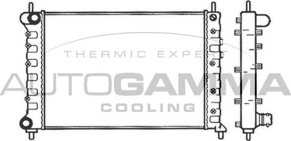 Autogamma 101399 - Радиатор, охлаждение двигателя autosila-amz.com