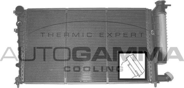 Autogamma 101313 - Радиатор, охлаждение двигателя autosila-amz.com