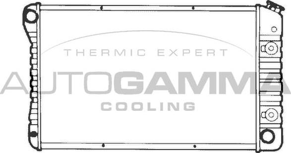 Autogamma 101370 - Радиатор, охлаждение двигателя autosila-amz.com